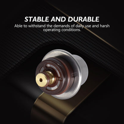 HiSport Fuel Injection Pressure Regulator - Compatible with Porsche Cayenne 3.2L 4.5L 2003 2004 2005 2006 Replacement for FP10384 PR4045