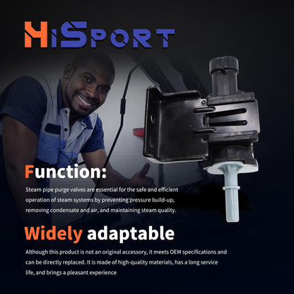 HiSport 214-1680 Vapor Canister Purge Valve solenoid Compatible with Chevy Buick Cadillac Chevy GMC Express Silverado Suburban Savana Replace 12597567 PV443 911-032 2141680 911032 12570469