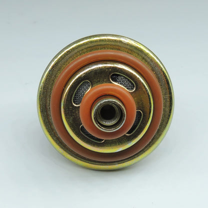 HiSport Fuel Injection Pressure Regulator - Kit with Ring Replacement for Dodge Dakota for Jeep Wrangler, 3.5BAR, Replaces 12460604 PR210 FP10071 FP10336 PR333 1176 53030001 5G119 PR4009