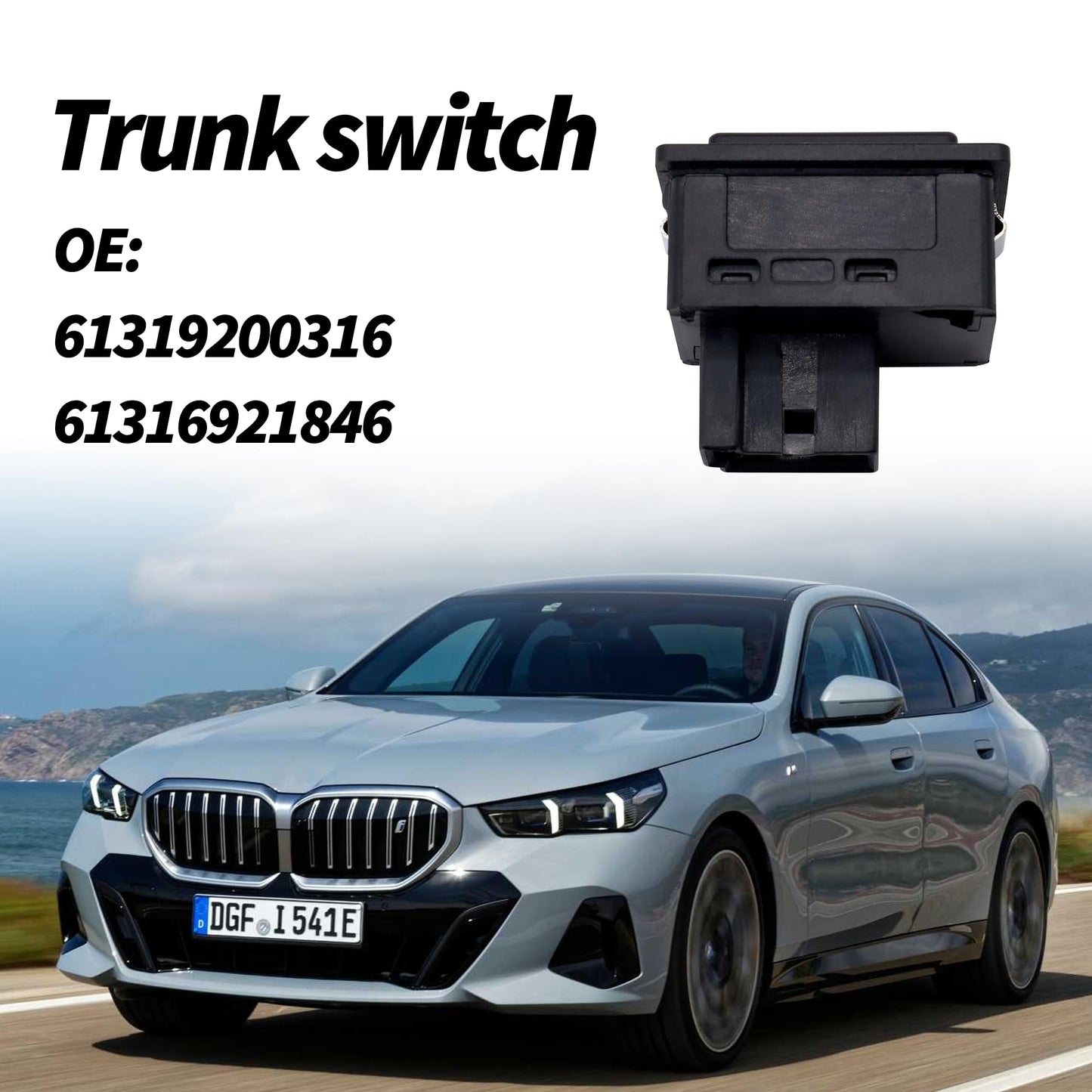 HiSport 61319200316 Trunk Unlock Release Switch Button - Compatible with BMW 530e 430i 440i 530i 540i 230i 330i 340i M240i M2 330e M4 228i 428i 435i 228i 535d 2002-2020