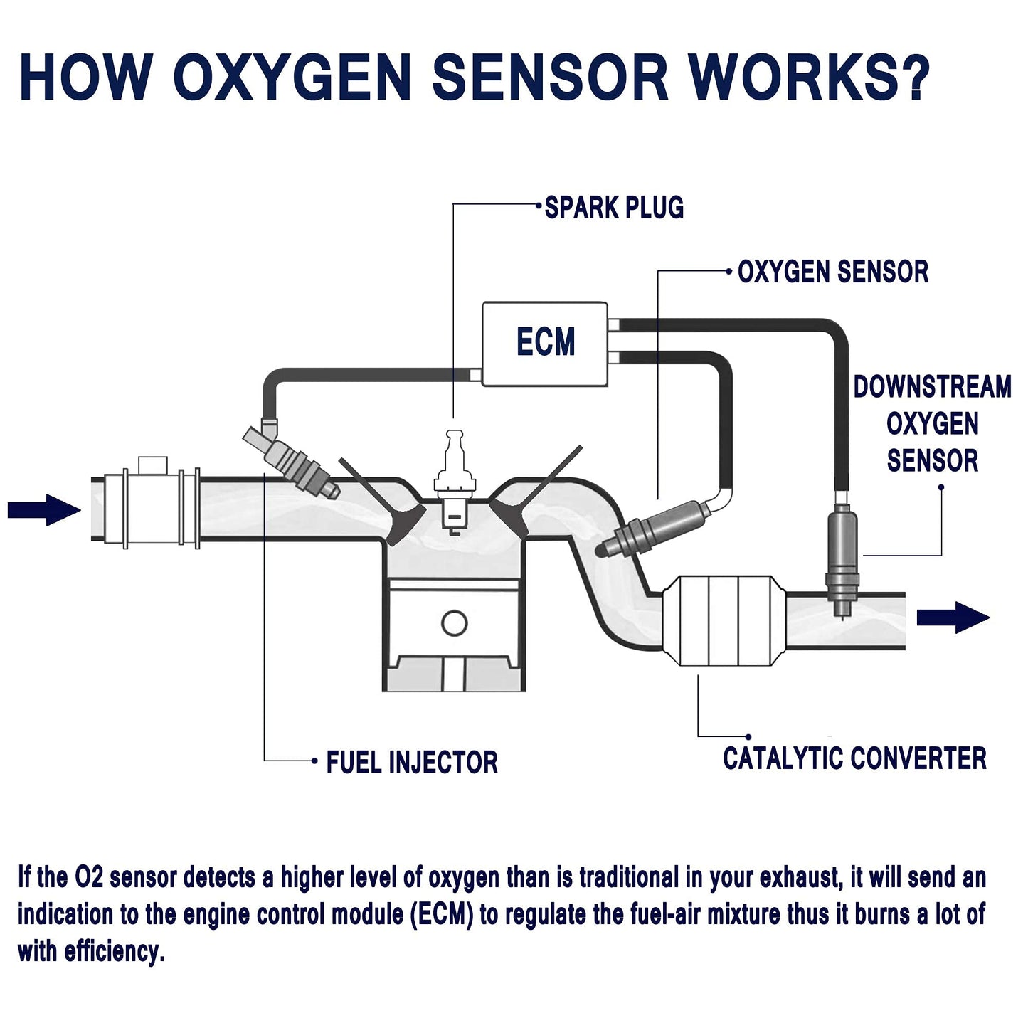 HiSport Oxygen Sensor Upstream Heated O2 Sensor 4-Wire Air Fuel Ratio Sensor Compatible with Acura RSX 2005-2006, Honda CR-V 2005-2006 Element 2003-2009 Replacement for 234-9064