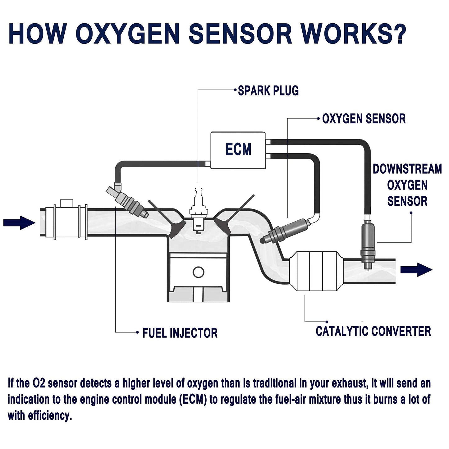 HiSport 250-24785 Oxygen Sensor Compatible with Acura MDX 2007-2020 RDX 2007-2024 RL 2009-2012 RLX 2014-2020 TL 2007-2014 TLX 2015-2020 TSX ZDX, Honda Accord Crosstour Odyssey Passport Pilot Ridgeline