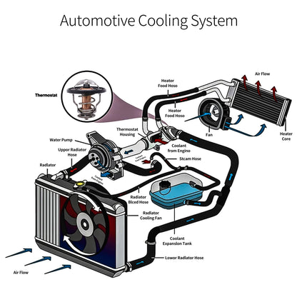 HiSport Engine Coolant Thermostat 90916-A3003 90916-03129 Compatible with Toyota Avalon Camry Celica Corolla Highlander Matrix, Replacement for Lexus ES300 ES330 ES350 GS30 & Scion tC xB xA xD