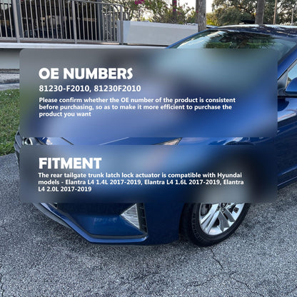 HiSport Rear Tailgate Trunk Latch Lock Actuator - Compatible with Hyundai Elantra 2015 2016 2017 2018 2019 2020 Replaces 81230-F2010 81230F2010