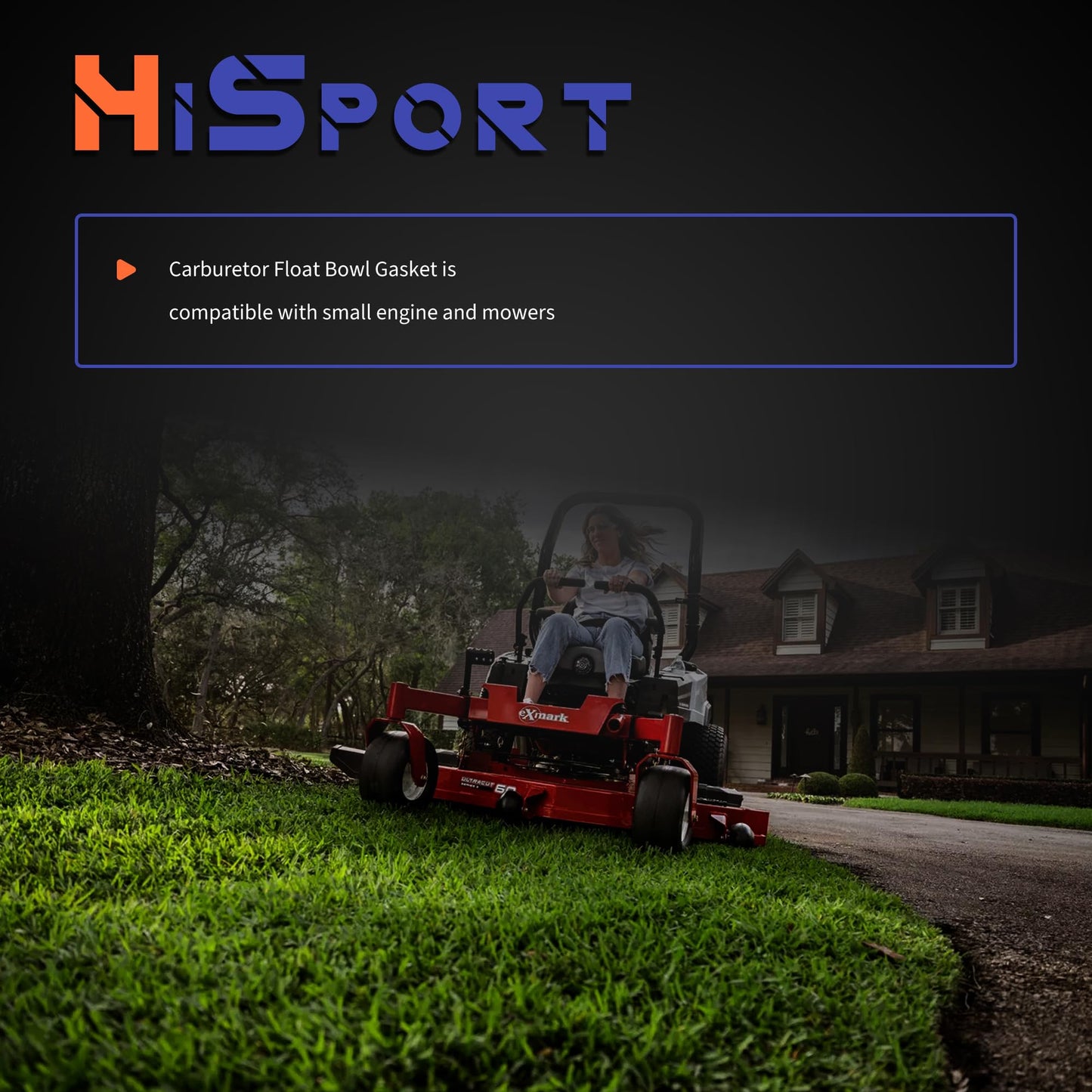 HiSport Carburetor Float Bowl Gasket - Replaces 631028 631028A 20 Pieces